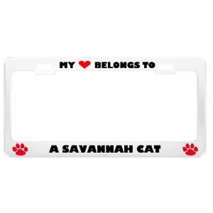 Savannah Cat Pet White Metal License Plate Frame Tag Holder