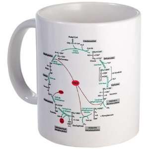  Krebs Cycle Science Mug by 