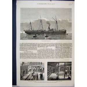  H.M Transport Service 1876 Horses Assistance Troop Ship 
