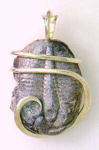 14.65ct Trilobite Fossil Pendant in Sterling Silver  