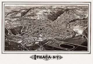 Old Map Ithaca New York 1882 Tompkins County  