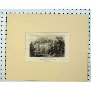  C1830 View St Bennets Priory Cornwall England Trees: Home 