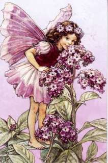 Cicely Mary Barker Flower Fairies Greeting Cards: Fragrance of Spring