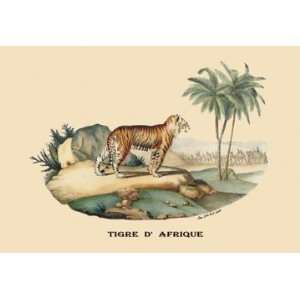   Tigre dAfrique (Tiger) 28x42 Giclee on Canvas