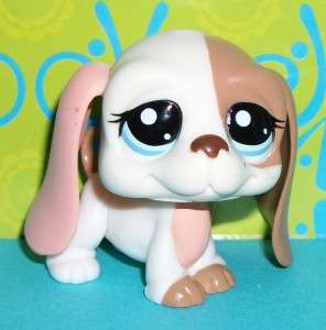   Pet Shop~#2096 PEACH & CREAM BASSET HOUND PUPPY DOG Blue Eyes~D161 NEW