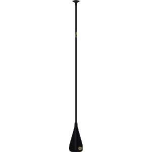  BIC Sport SUP 220 Carbon 1 Piece Paddle Board: Sports 