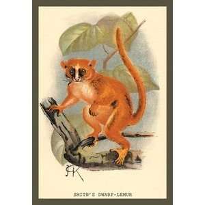  Smiths Dwarf Lemur   12x18 Framed Print in Black Frame 