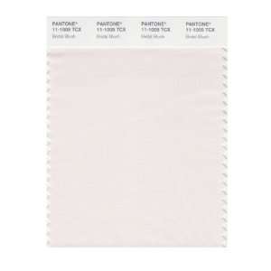  PANTONE SMART 11 1005X Color Swatch Card, Bridal Blush 