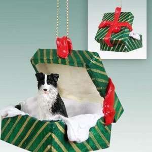 Border Collie in a Green Box Ornament