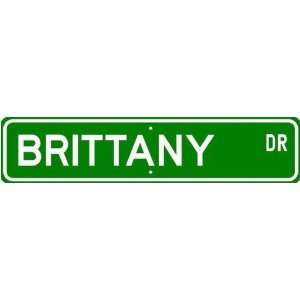  Brittany STREET SIGN ~ High Quality Aluminum ~ Dog Lover 