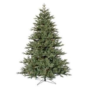    Vickerman Blue Noble Fir Pre lit Christmas Tree: Home & Kitchen