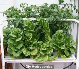 DIY HYDROPONICS SYSTEM BUILDERS GUIDE HOW TO PLANS GARDENING BOOK & CD 