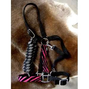  HALTER BRONC PINK/BLK ZEBRA NYLON NOSE BAND Everything 