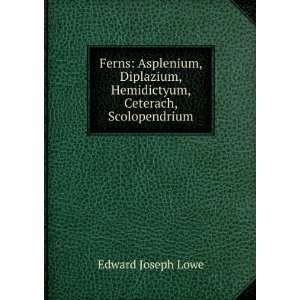   , Hemidictyum, Ceterach, Scolopendrium Edward Joseph Lowe Books