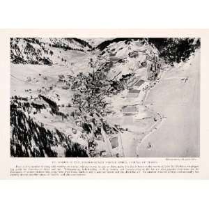   Switzerland Aerial Cityscape Winter Sport Tourism   Original Halftone