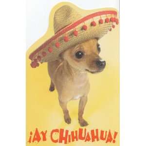   Spanish Ay Chihuahua Translation on Back