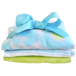  Summer Breeze Burp Cloth Set Baby