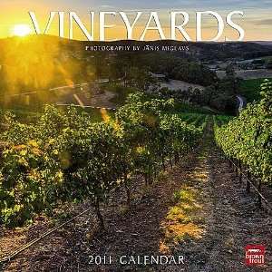    (12x12) Vineyards 16 Month Wall Calendar 2011: Office Products