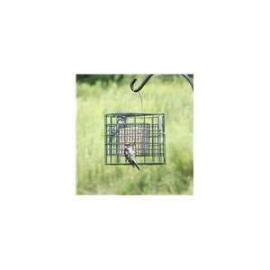  Duncraft Suet Sanctuary: Pet Supplies