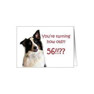  Dog Years, Birthday 56 Years Old Card: Toys & Games