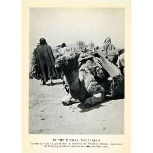 1929 Print Jamaa el Fna Djemaa Marrakesh Market Morocco Camel Shipping 