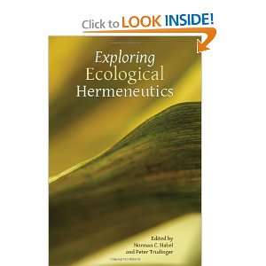   Hermeneutics (Symposium) [Paperback]: Norman C. Habel: Books