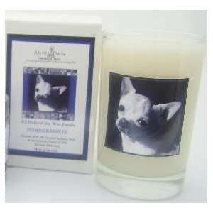   Candle Glass Gift Box   Chihuahua   Pomegranate   5 Oz: Pet Supplies