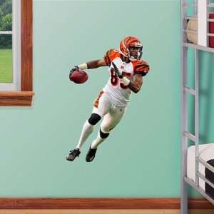   Bengals Chad Ochocinco Junior Wall Graphic: Sports & Outdoors