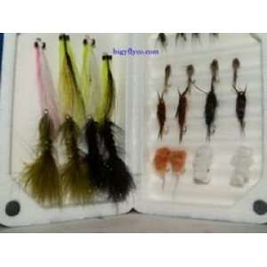  Erie Steelhead Flies with Classic Morell Fly Box Sports 
