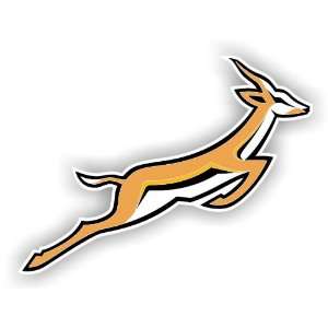  RUGBY South African Springboks bumper sticker 5 Color 