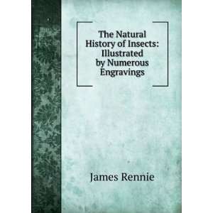   of Insects Illustrated by Numerous Engravings James Rennie Books