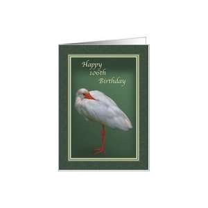  Birthday, 106th, White Ibis Bird Card: Toys & Games