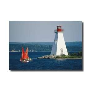  Sailboats Race Past Lighthouse Nova Scotia Canada Giclee 