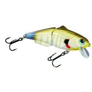 Strike King Baby King Shad 3 Inch Bait:  Sports & Outdoors