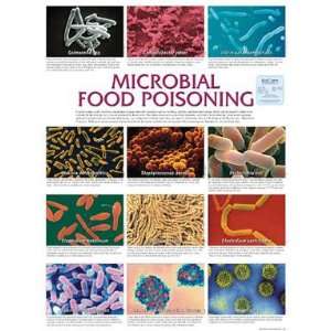 SciEd Microbiology Wall Charts; Microb. Food Poison  