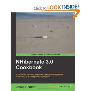  NHibernate 3.0 Cookbook [Paperback] Jason Dentler Books