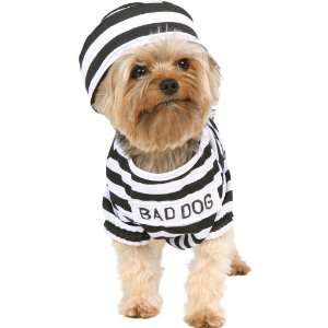  Prisoner Dog Costume Size Medium Toys & Games