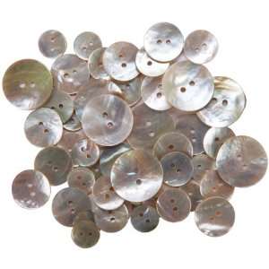  Favorite Findings Shellz Buttons Multi Size Round