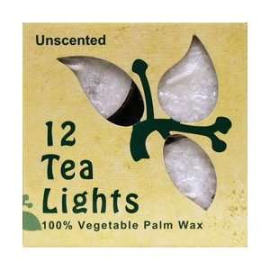   Lights Unscented White Candles   12   Candle: Health & Personal Care