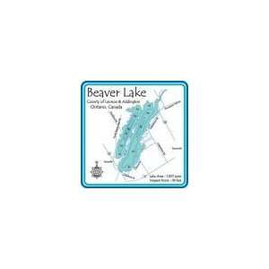  Beaver Lake Mug