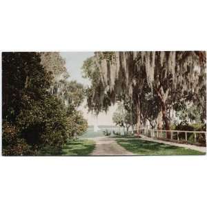   : Reprint The Indian River at Rockledge, Florida 1901: Home & Kitchen