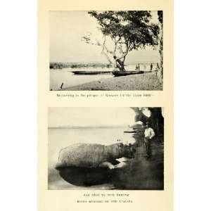 1925 Print Hippopotamus Hippo Kongolo Hunting Lualaba 