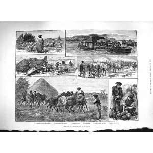  1883 PEASANT LIFE HUNGARY SHEPHERD WATER MELONS OXEN