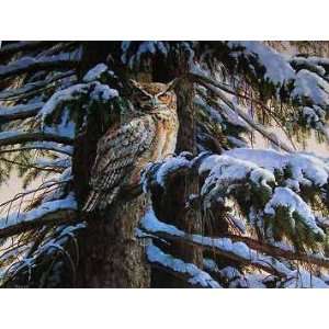  Rosemary Millette   Snowy Perch Great Horned Owl