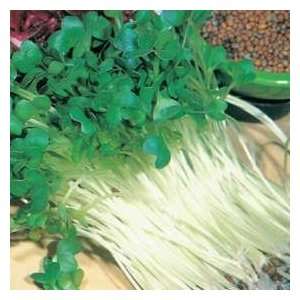   Seeds Radish **Healthy Eating in 2 6 Days** Patio, Lawn & Garden