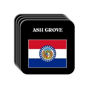  US State Flag   ASH GROVE, Missouri (MO) Set of 4 Mini 