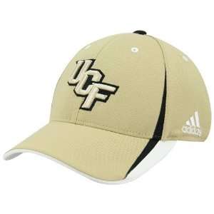   adidas UCF Knights Gold Official Team Flex Fit Hat: Sports & Outdoors