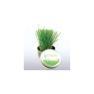  g thanks   Grass Kit Patio, Lawn & Garden