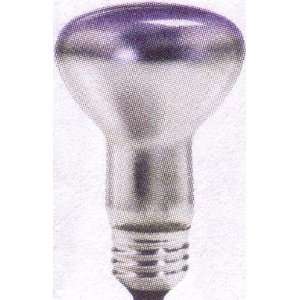   50 Watt R20 Philips Natural Light Flood Light Bulb 2: Kitchen & Dining