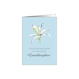Happy May Birthday Granddaughter White Lily Flower Pencil Drawing Card